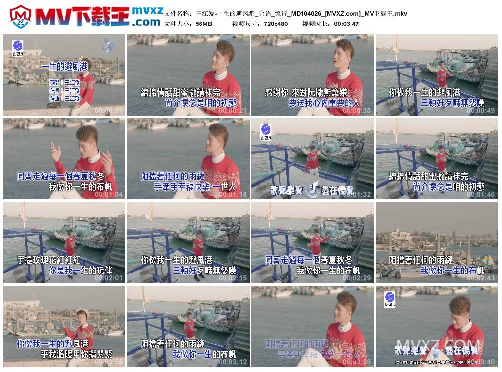 王江发-一生的避风港_台语_流行_MD104026